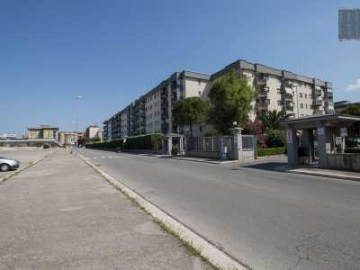...vira a destra e diventa via Papalia. Ci troviamo in una zona dove i palazzi si fanno pi� aggrazziati merito anche della presenza di molto verde condominale